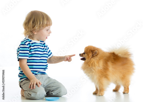 Child boy training Spitz do...
