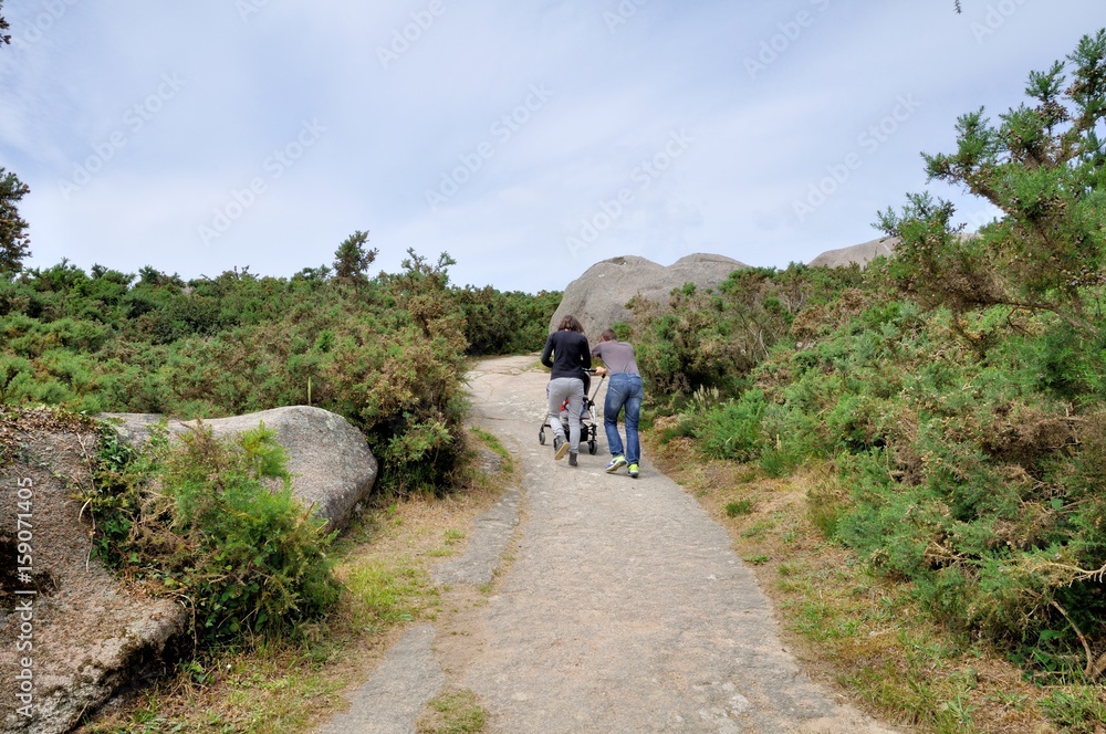 Sentier de randonnée entre Ploumanach et la côte de granit rose en Bretagne