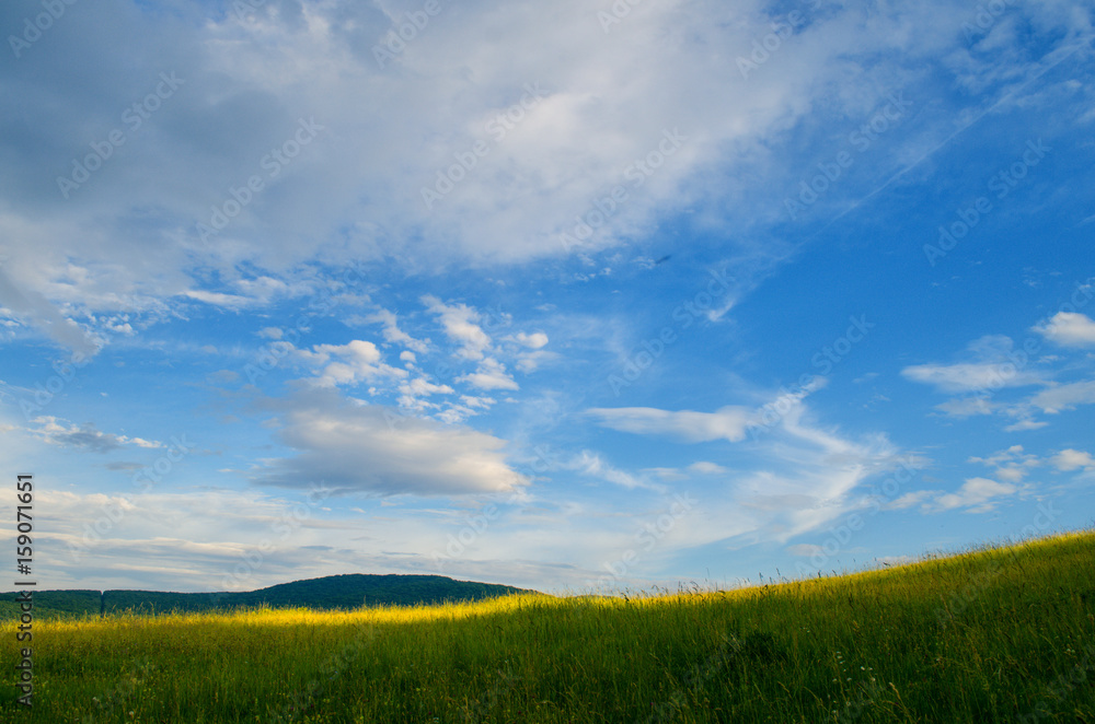 Obraz premium Beautiful lights in nature and a fascinating sight of this landscape in the spring is invaluable