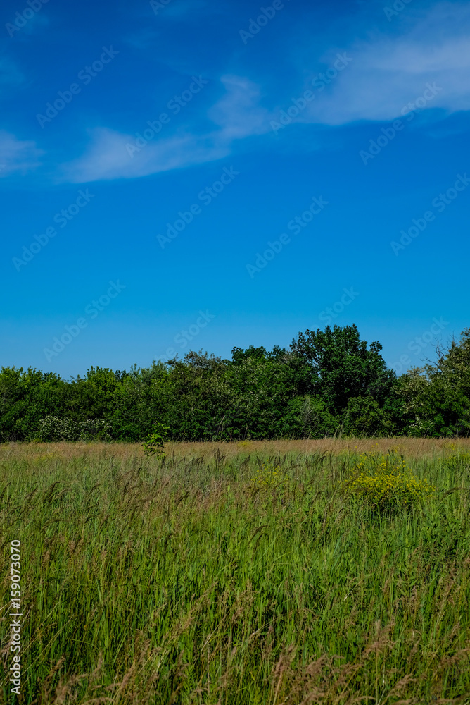 green field and blue sky green field and blue sky