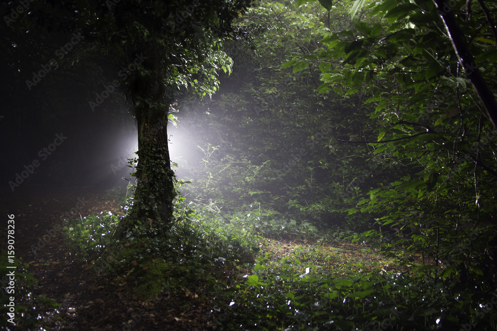 Naklejka premium Glowing Tree