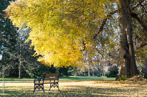 View of a tranquil place to seat and enjoy the autumn season photo