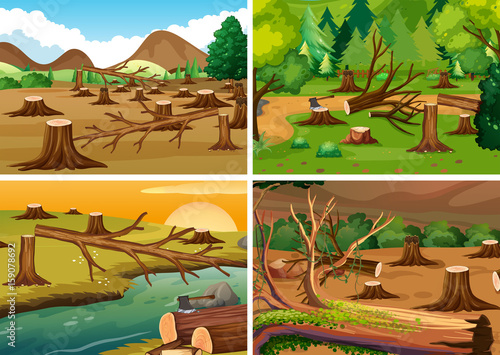 Four scenes of deforestation