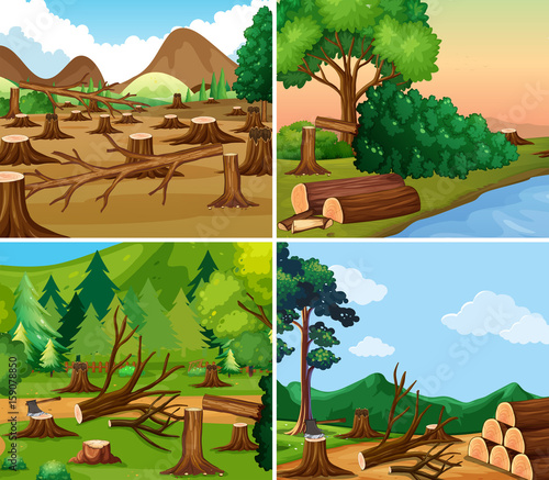 Four different scenes of deforestation