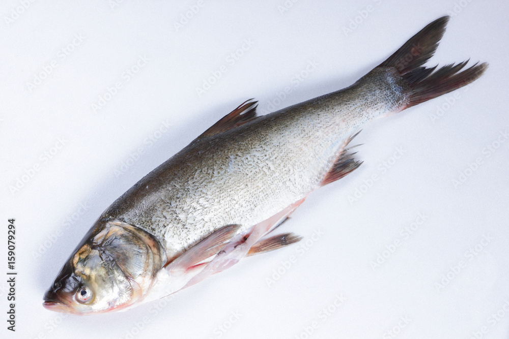 Fototapeta premium Carp in the home kitchen
