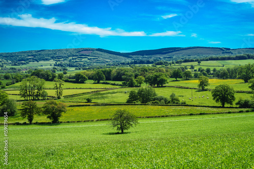 Фотография F, Burgund, Morvan, Landschaft bei Brassy