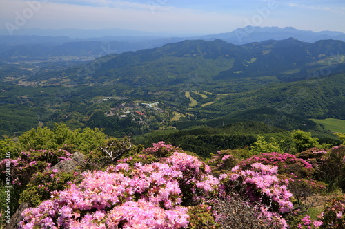 絶景 鶴見岳のミヤマキリシマ