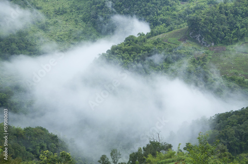 Morning mist in the valley landscape. 