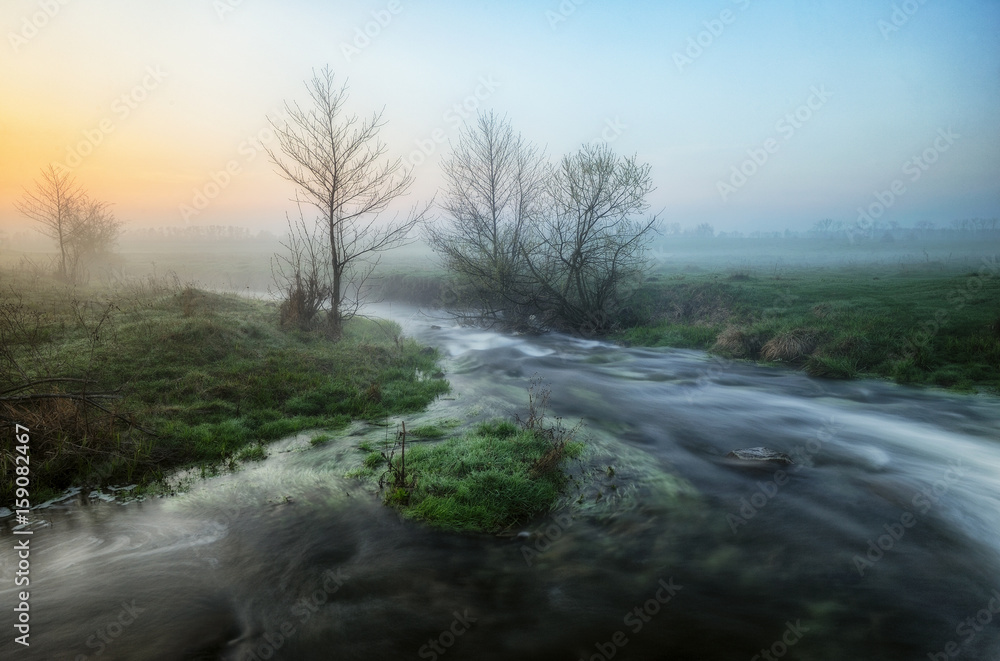 Spring morning