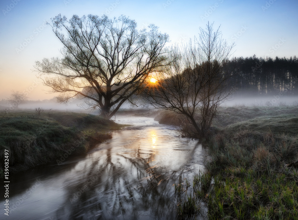 Spring morning Spring morning