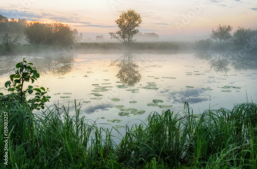 Spring reflection