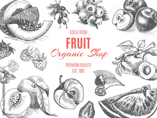 Vector illustration sketch - fruit. Card Menu organic shop. vintage design, banner.