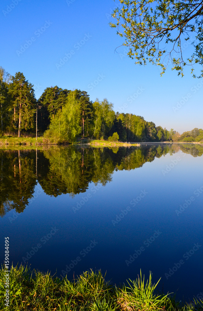 Forest is reflected in the calm blue water of the forest lake. Early morning. Vertical view Forest is reflected in the calm blue water of the forest lake. Early morning. Vertical view