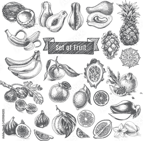 Vector illustration sketch - eco shop. Set of Fruit.