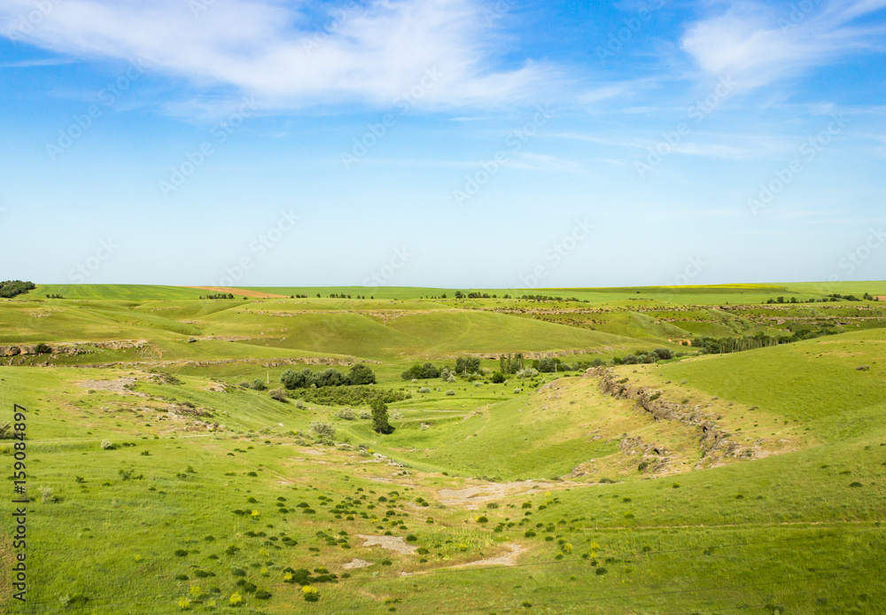 Nature in the steppe of Kazakhstan in the spring