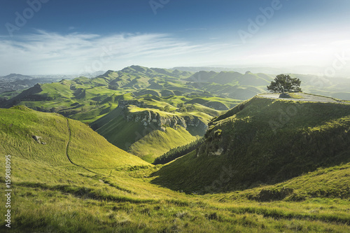 Green hills landscape view, location - Te Mata Peak, Hawke's Bay, Hasting, Napier, North Island, New Zealand photo