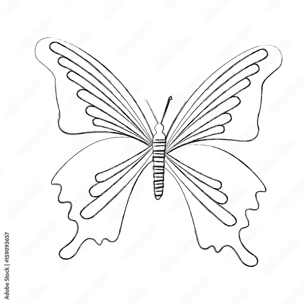 sketch draw butterfly cartoon vector graphic design