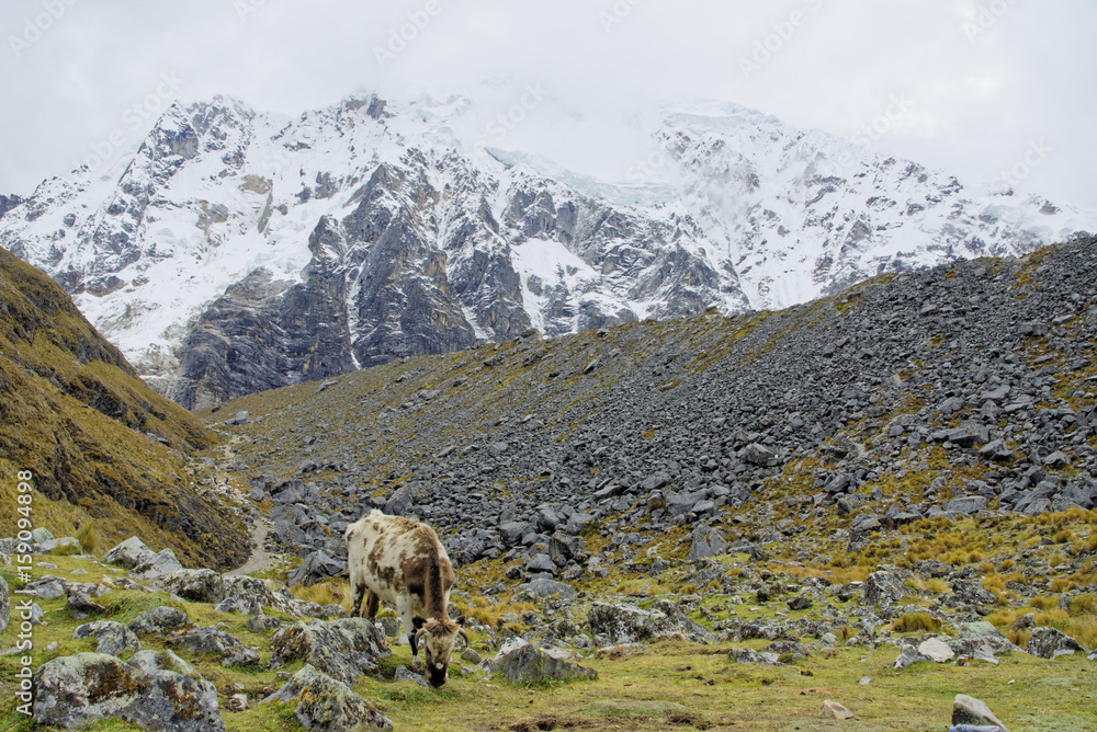 Naklejka premium Salkantay Mountains Peru
