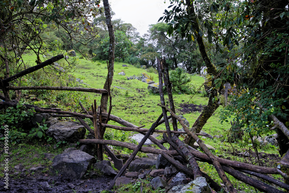 Salkantay Trekking Salkantay Trekking