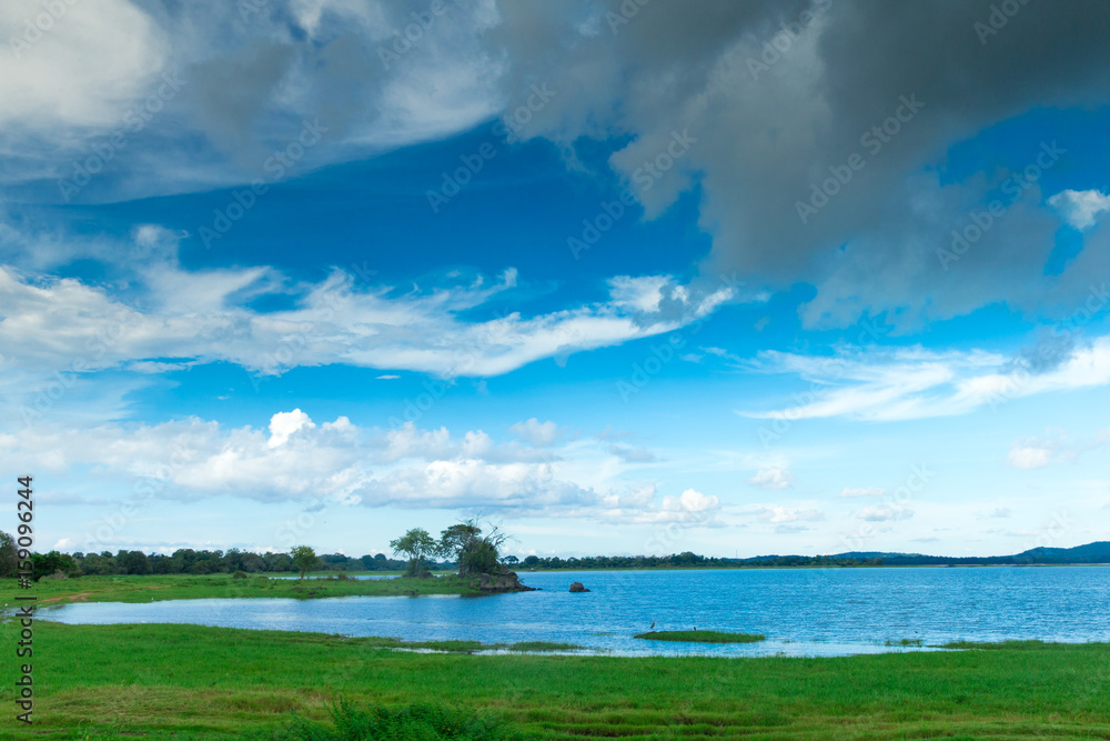 Sri Lanka Lake, Sri lanka landscape, Trees on water, Trees on lake Sri Lanka Lake, Sri lanka landscape, Trees on water, Trees on lake