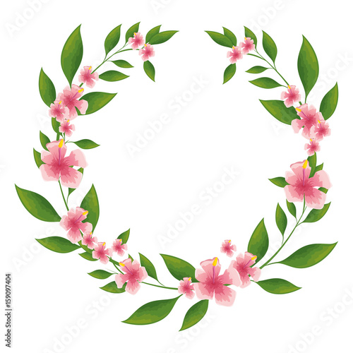 wreath of tropical flowers and leaves icon over white background colorful design vector illustration