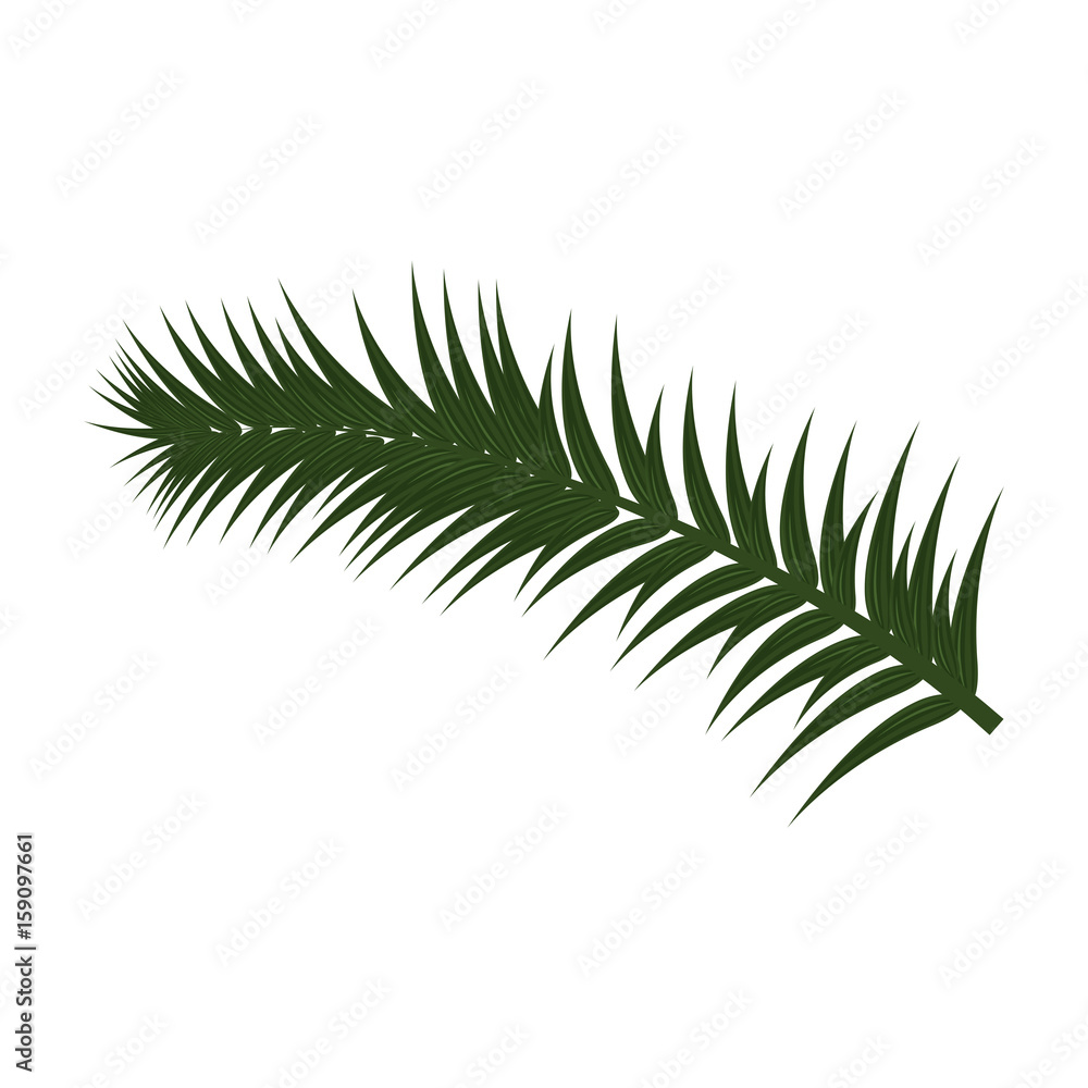 tropical leaf icon over white background colorful design vector illustration tropical leaf icon over white background colorful design vector illustration