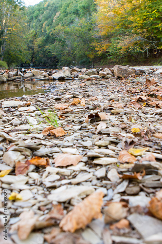 Fall Creekside