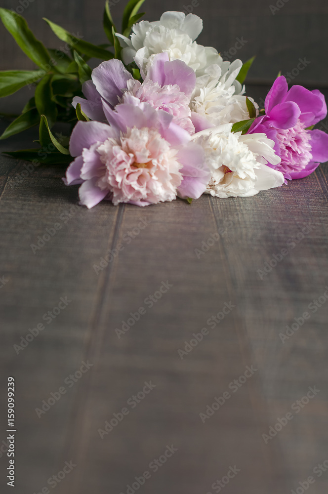 White and pink penies on woody table White and pink penies on woody table