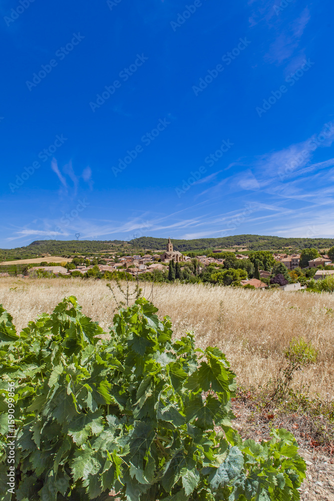 Languedoc-Roussillon province in France
