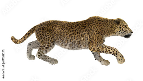 Fototapeta Naklejka Na Ścianę i Meble -  3D Rendering Big Cat Leopard on White