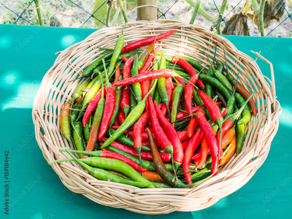 Red and green chili peppers in the basket