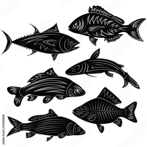 fish