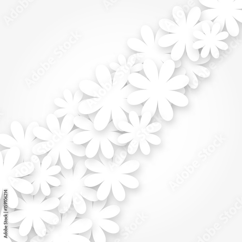 Image of white flowers arranged diagonally in different sizes on a white background