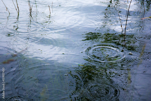 Rain in the lake 
