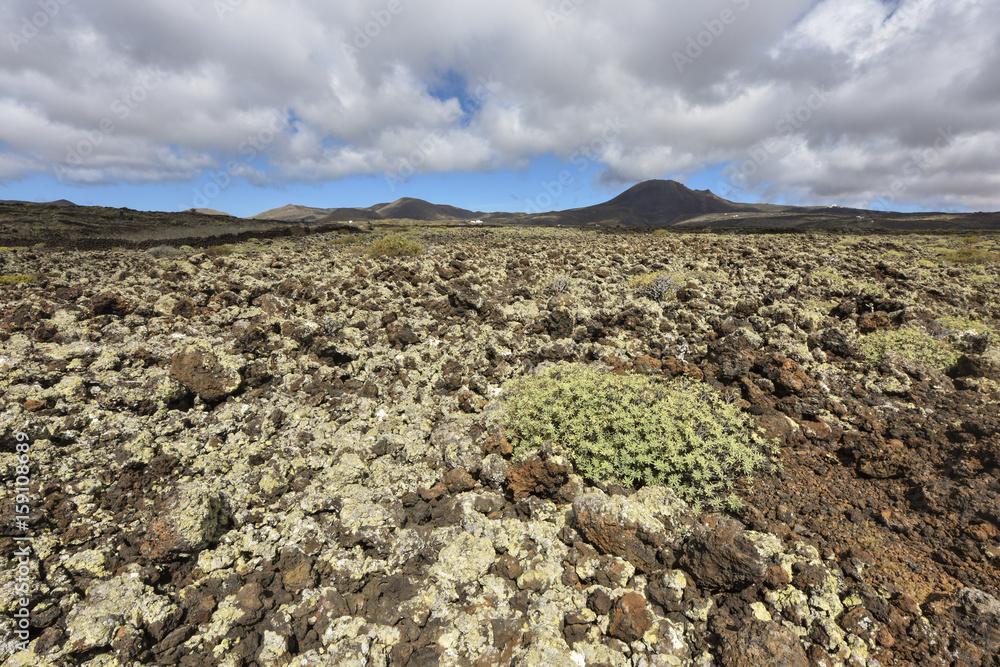 Fascinating volcanic landscape in Lanzarote, Canary Islands, Spain