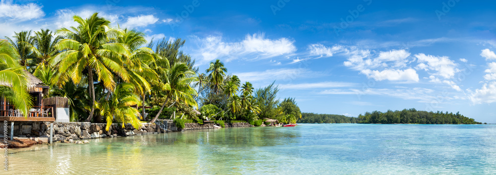 Palmenstrand und Meer als Panorama Hintergrund