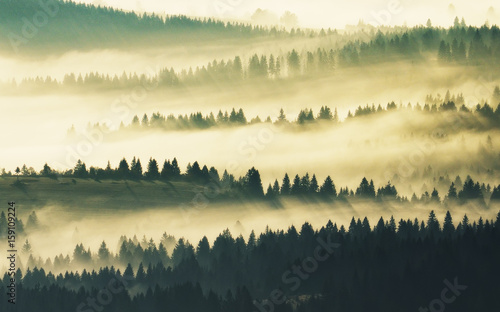 Silhouettes of mountains. A misty autumn morning. Dawn in the Carpathians © sergnester
