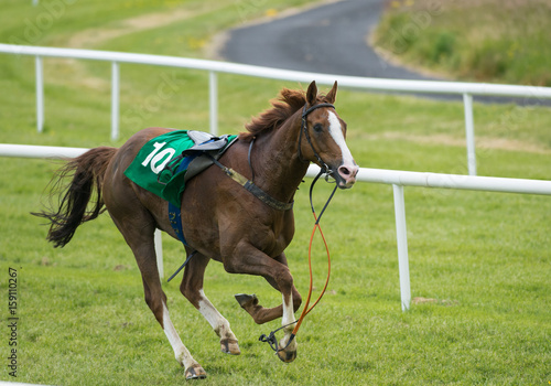 loose runaway horse without a jockey running on the race track