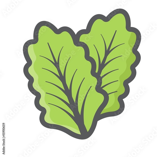 Lettuce colorful line icon, vegetable and salad leaf, vector graphics, a filled pattern on a white background, eps 10.