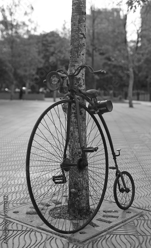 Retro bicycle with large front wheel in public park. Black and white tone.