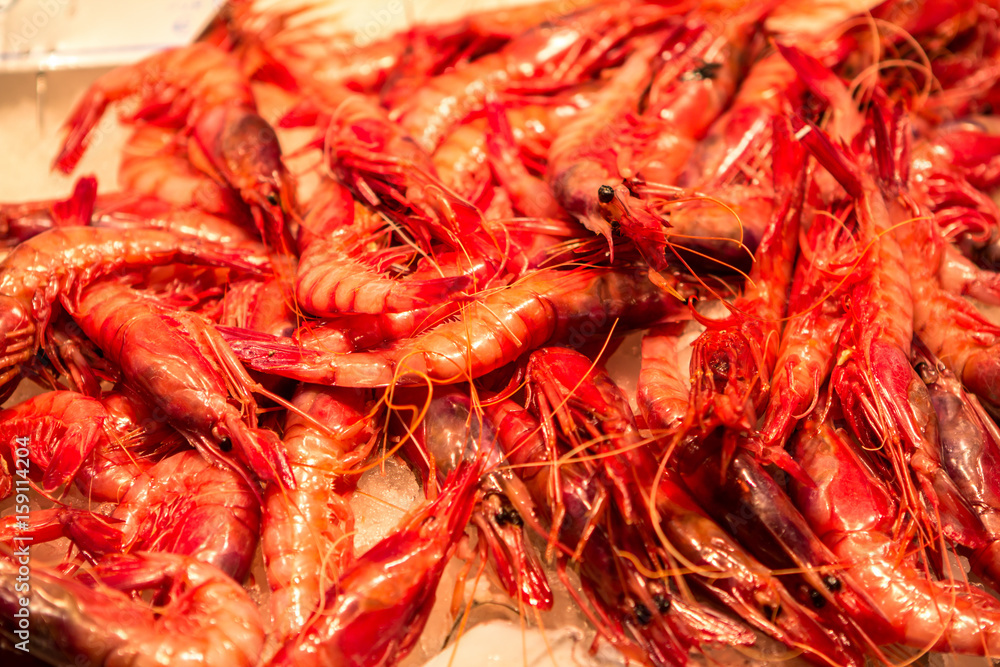 Fresh seafoods at the market in Barcelona Fresh seafoods at the market in Barcelona