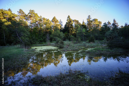 D, Bayern, Schwaben, Augsburg, Siebentischwald, Biotope und Wiesen photo