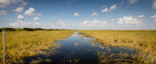 Wetlands in Florida Everglades