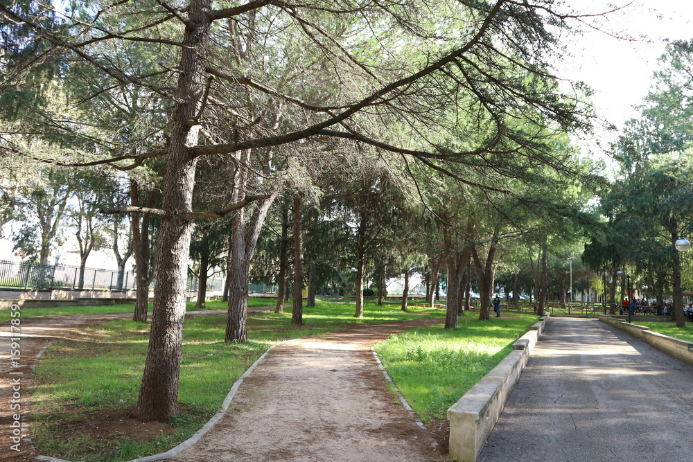 parco parco