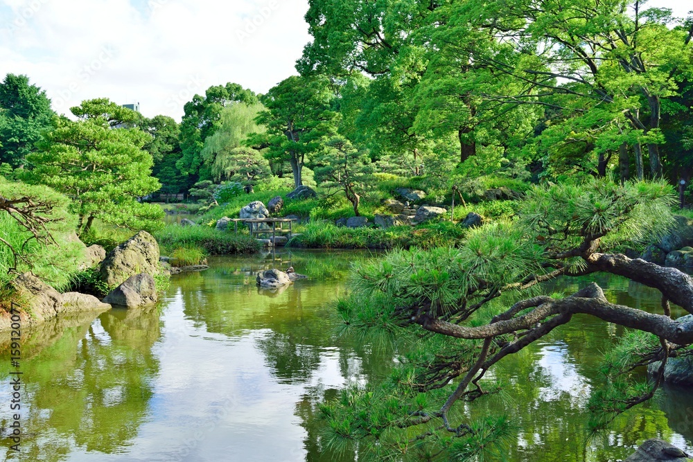 清澄庭園 大泉水と松ノ木 Stock 写真 Adobe Stock