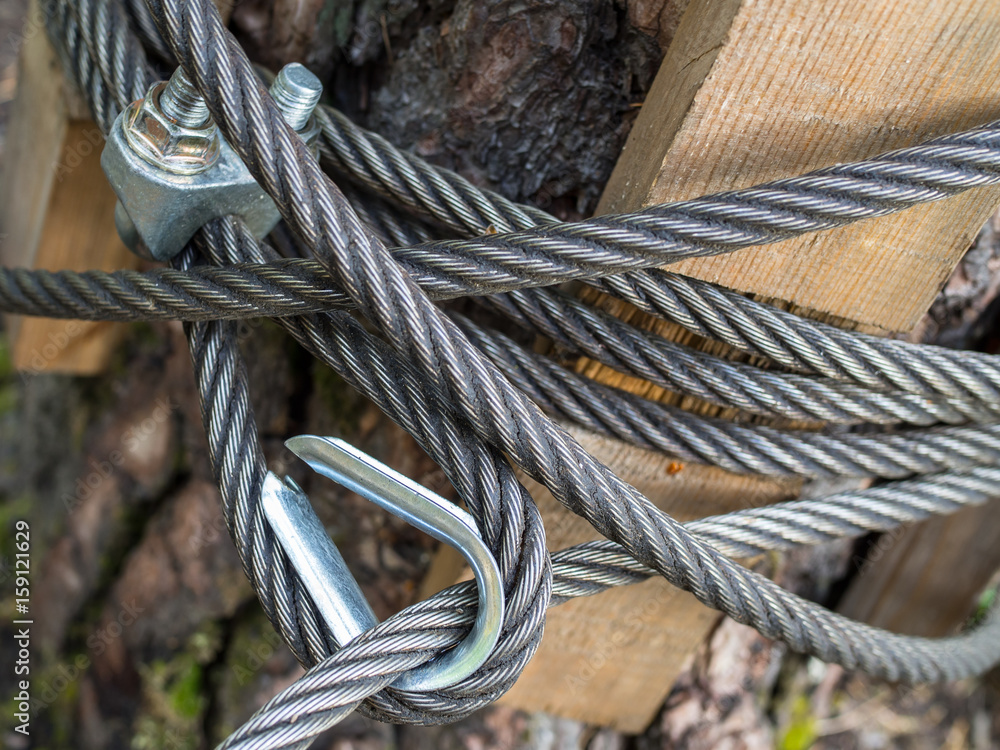 steel slings cable tied around forest tree