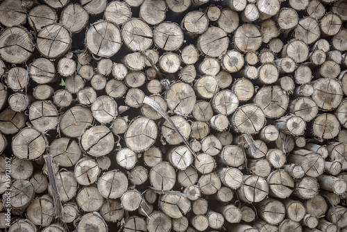 Pile of Wood