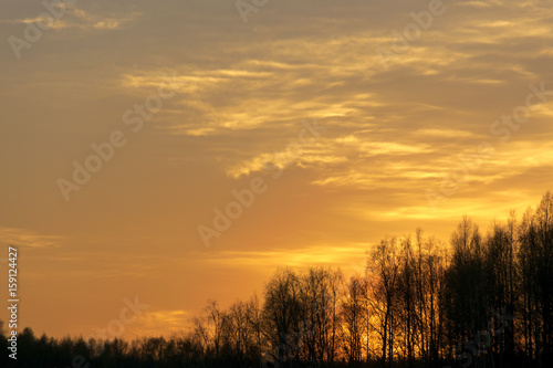 Summer landscape with multicolored sunrise. Beautiful landscape with golden sunset.