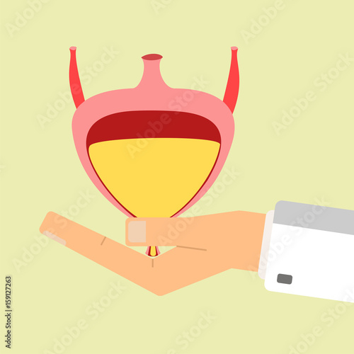 Doctors hand hold human bladder. Health Care concept. Vector illustration