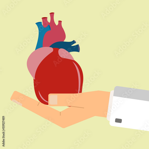 Doctors hand hold human heart. Healthcare concept. Vector illustration